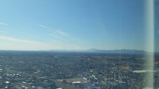 正月でひまなときは