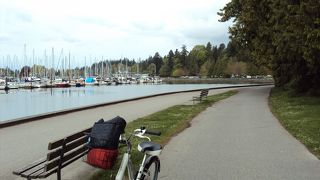 サイクリング最高！