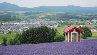 展望は良いが、2013年に植え替えて整備不足なところもある
