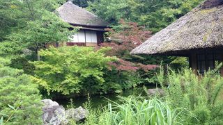 カフェやよーじやさんもあります!!