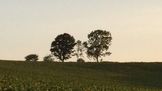 パッチワークの路の通過点