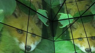 滝里ダムにより湖底に沈んだ集落を紹介しています