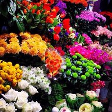 花のある生活 By Cady アオヤマ フラワー マーケット なんばパークス店 のクチコミ フォートラベル 花のある生活 By Cady アオヤマ フラワー マーケット なんばパークス店 のクチコミ フォートラベル