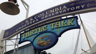 クラッシュとお話し出来ます♪