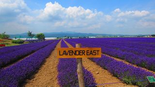 北海道スケール！