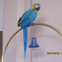 フロントでお出迎え「ハロー」と言うと「ハロー」と答えてくれる