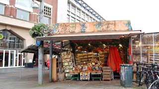 花市というより球根市