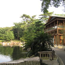 大きな池で鯉に餌をあげたり、ぐるりと散歩。結構広いです。