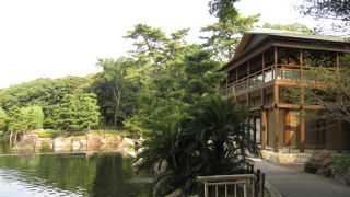 和風庭園を散策。