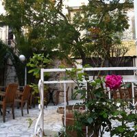 中庭がかわいい