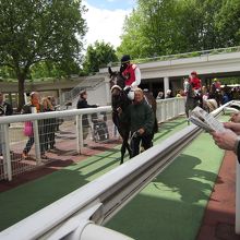 パドックから馬場への向かう馬道