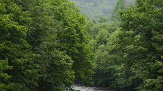 北海道アドベンチャーツアーズ