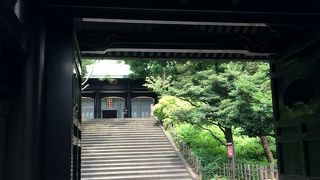 都心とは思えないほど緑が深いです