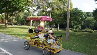 のんびりサイクリング