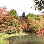 紅葉がすばらしい庭園