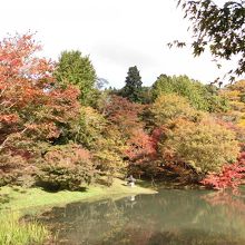 池と紅葉が美しい