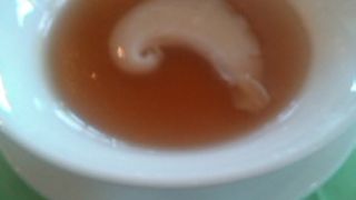 ビュッフェは並んでましたが、コースは優雅に