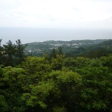 海側展望台から