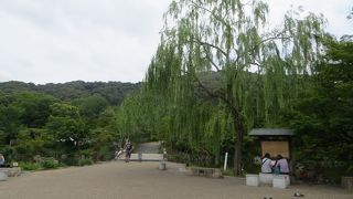 オフシーズンの円山公園。