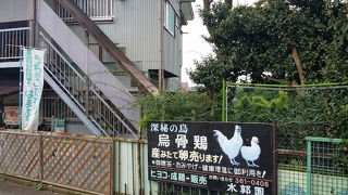 横浜　希望ヶ丘の水郭園（釣り堀と農産物販売）に行ってみた！