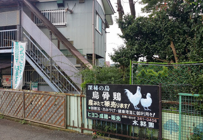 横浜　希望ヶ丘の水郭園（釣り堀と農産物販売）に行ってみた！