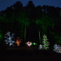 暗く見えますが綺麗ですよ