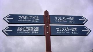 CMに出ていた木