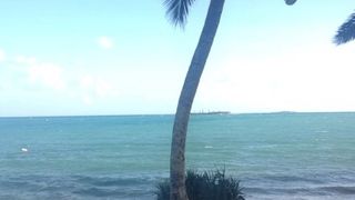 日常に溶け込んだビーチでのんびり