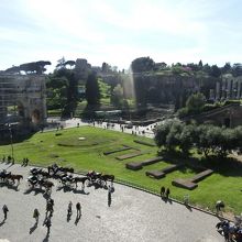 フォロ・ロマーノ、パラティーノの丘