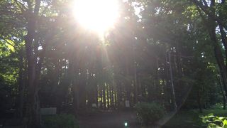 マイナスイオンいっぱい