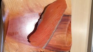 鮭児が食べられます