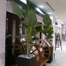 お店の入り口そばです。