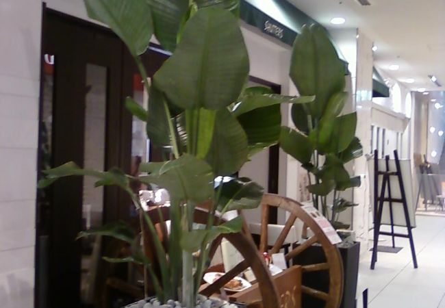 スペアリブおいしいですよ～！