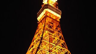 庶民的な感じ、東京タワー　人気スカイツリー？