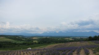 国道の横にラベンダーと十勝岳連峰の山並み