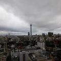 スカイツリーが目の前