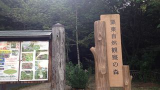 山まるごと観察の森です!!