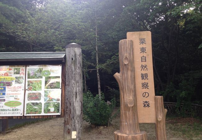 山まるごと観察の森です!!