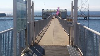 シーズンごとに釣れる魚が紹介 By フロンティア 浅虫海づり公園のクチコミ フォートラベル シーズンごとに釣れる魚が紹介 By フロンティア 浅虫海づり公園のクチコミ フォートラベル