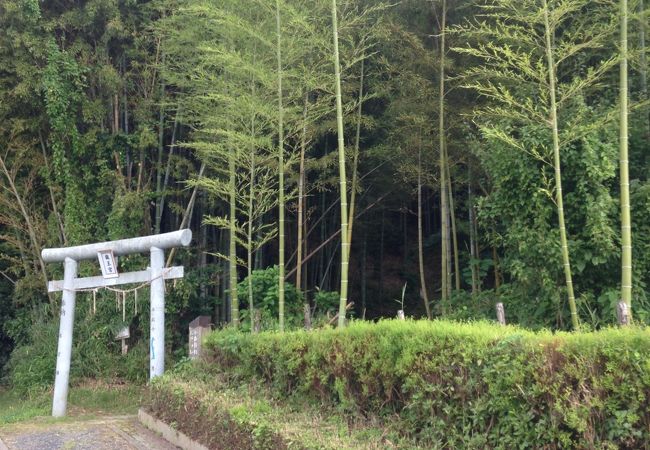 多喜山城跡 日向山石段