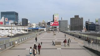 パンダはいません