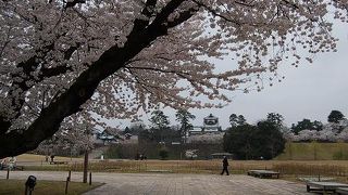 桜を見がてら散策