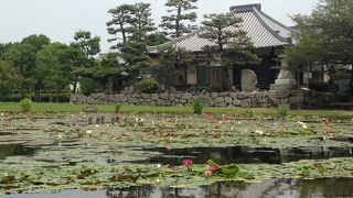 蓮海寺