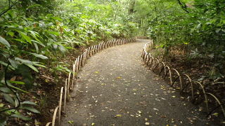 都心の癒しスポット