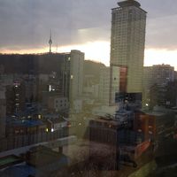 お部屋から撮影