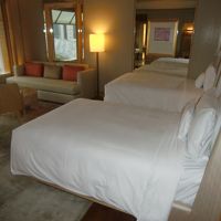 ベッドはシーリーのようです。