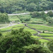 生月から紐差に向かう県道沿い