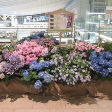 羽田空港 国際線旅客ターミナル