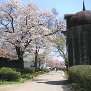 牧場の朝のふるさと。