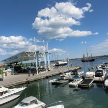 ハーバーフロントからオンタリオ湖クルーズ船が出ている